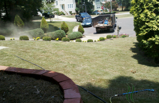 Sod Installation