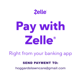 SMB_Pay_with_Zelle_HLC-A