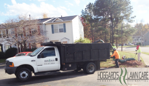 HLC Leaf/Debris Removal