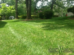 HLC Lawn Care