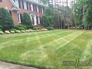 HLC Lawn Care