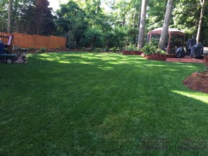 HLC Lawn Care